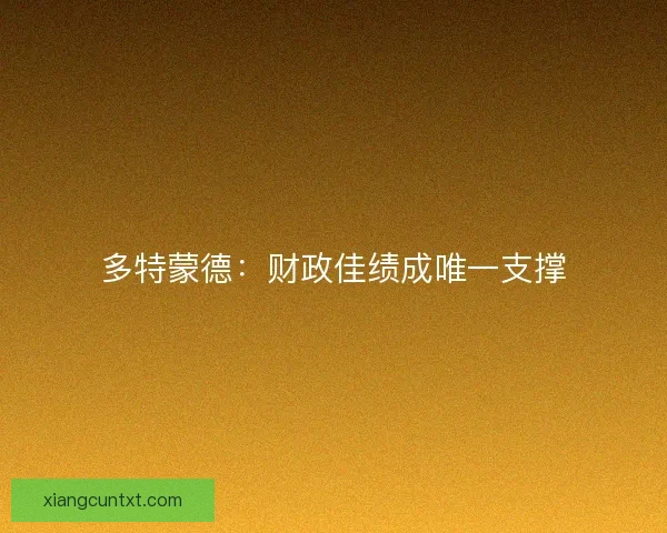 多特蒙德:财政佳绩成唯一支撑 多特蒙德:财政佳绩成唯一支撑